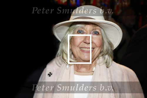 Amsterdam 26 januari 2026
Premiere ons pap wil bij de revue in het deLaMar theater . Willeke Alberti kwam samen met Andre v Duin
