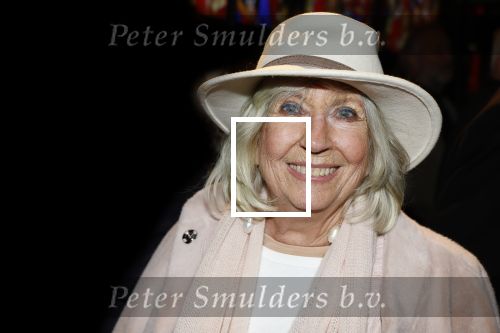 Amsterdam 26 januari 2026
Premiere ons pap wil bij de revue in het deLaMar theater . Willeke Alberti kwam samen met Andre v Duin