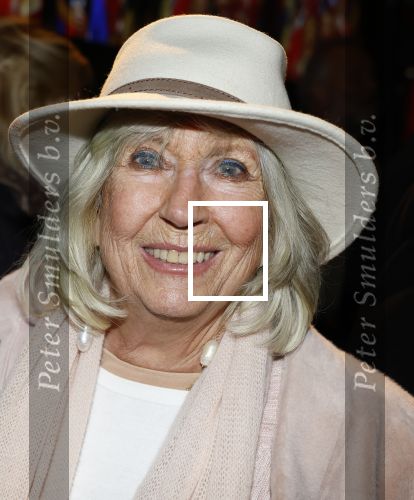 Amsterdam 26 januari 2026
Premiere ons pap wil bij de revue in het deLaMar theater . Willeke Alberti kwam samen met Andre v Duin