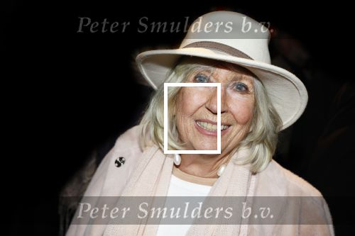Amsterdam 26 januari 2026
Premiere ons pap wil bij de revue in het deLaMar theater . Willeke Alberti kwam samen met Andre v Duin