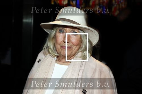 Amsterdam 26 januari 2026
Premiere ons pap wil bij de revue in het deLaMar theater . Willeke Alberti kwam samen met Andre v Duin