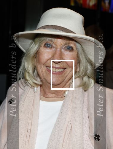Amsterdam 26 januari 2026
Premiere ons pap wil bij de revue in het deLaMar theater . Willeke Alberti kwam samen met Andre v Duin