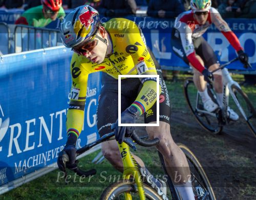 Wout v Aert