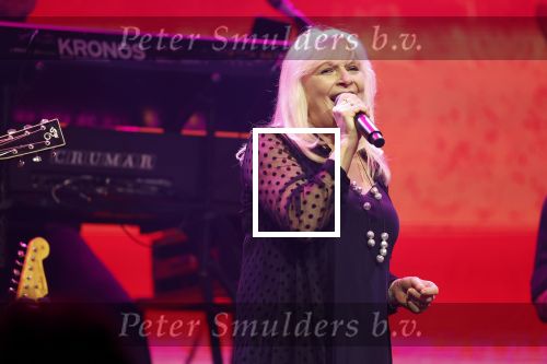 Tilburg 2 oktober 2023
Buma Prijzen in 013 in Tilburg .
Zangeres Mieke zingt samen met Marco Schuitmaker het liedje Engelbewaarder.