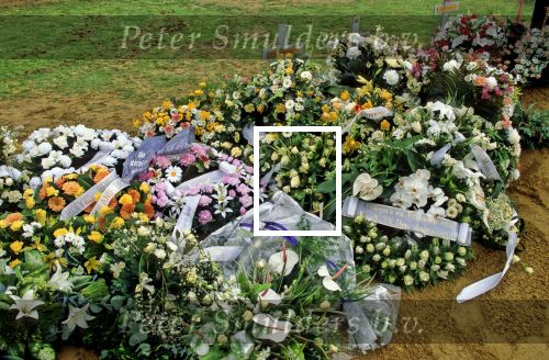Belgie, 11 Januari 1995
Mieke Zangeres haar man Hugo zijn graf
Foto Peter Smulders BV