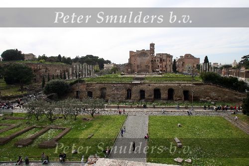 Rome, 29 Maart 2006
Forum Romanum