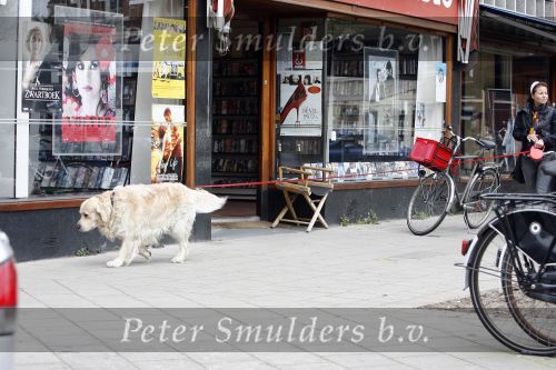 Amsterdam 10 april 2007
Maaike Widdershoven met haar hond aan het wandelen.