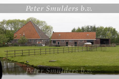 Volendam 21 mei 2010
De boederij waarvan in volendam wordt gezegd dat Jan Smit die gaat kopen. Zijn huis waar hij nu woont gaat hij dan verkopen.
Peter Smulders bv