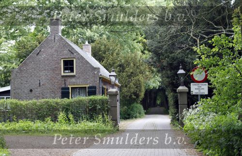 Wassenaar 29 mei 2010
Prinses Margarita haar man Tjalling ten Cate en prinses Irene hebben op de horsten bij Prins Willem Alexander en Maxima een huis met opstallen gekocht die ze gaan verbouwen om daar te wonen.
Peter Smulders bv