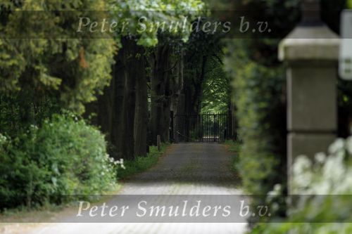 Wassenaar 29 mei 2010
Prinses Margarita haar man Tjalling ten Cate en prinses Irene hebben op de horsten bij Prins Willem Alexander en Maxima een huis met opstallen gekocht die ze gaan verbouwen om daar te wonen.
Peter Smulders bv