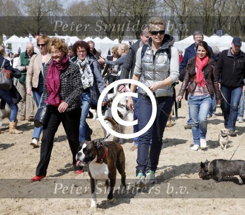Busloo Apeldoorn 21 april 2013
Royal Canin organiseert grootste wandeltocht voor hond voor stichting Hulphond. Ambassadrices Anita Witzier Anouk Smulders en Martin Gaus lopen ook mee.
Peter Smulders bv