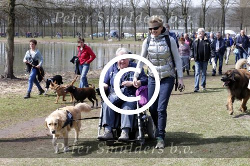 Busloo Apeldoorn 21 april 2013
Royal Canin organiseert grootste wandeltocht voor hond voor stichting Hulphond. Ambassadrices Anita Witzier Anouk Smulders en Martin Gaus lopen ook mee.
Peter Smulders bv