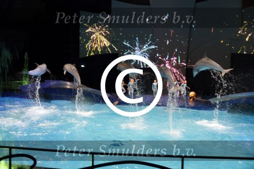 Harderwijk 14 mei 2013
Premiere nieuwe show in het dolfinarium. Dolfinarium
Peter Smulders bv