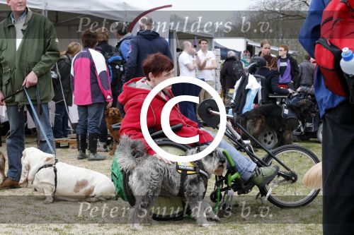Busloo Apeldoorn 21 april 2013
Royal Canin organiseert grootste wandeltocht voor hond voor stichting Hulphond. Ambassadrices Anita Witzier Anouk Smulders en Martin Gaus lopen ook mee.
Peter Smulders bv