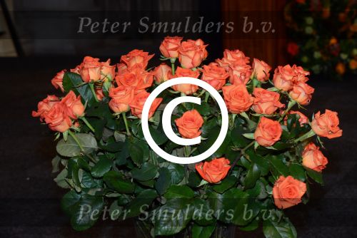 Amsterdam 16 mei 2013
Prinses  Beatrix Koning Willem Alexander en Koningin Maxima bij uitreiking appeltjes van Oranje op het paleijs op de dam. oranje rozen
Peter Smulders bv