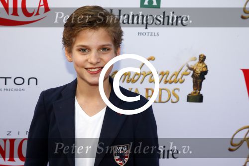 Amsterdam 19 april 2015
Uitreiking Rembrandt awards in Hotel Americain. Julian Ras