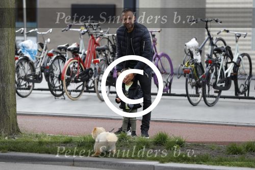 Amsterdam 17 mei 2016 
Demy de Zeeuw laat samen met zijn dochter de hond uit.