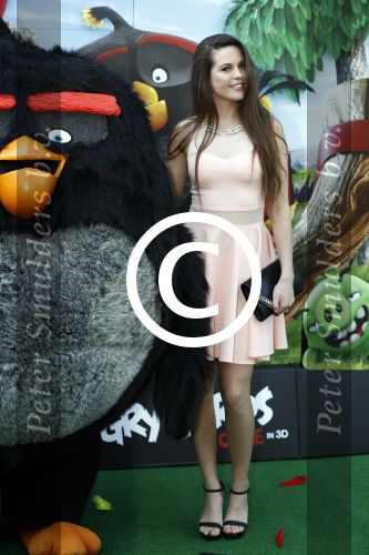 Amsterdam 7 mei 2016
Premiere Angry birds in pathe arena met oa de nederlandse stemmencast , Enzo Knol Ruben Nicolai Murth Mossel Eddy Zoe en Robin Martens. Robin met vriend  Kenzo Alvares met zijn (zusje/dochtertje??)