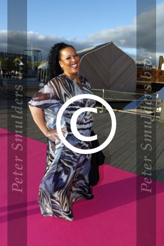 Amsterdam 10 april 2017
Free a girl gala in het scheepvaartmuseum. Ingrid Simons