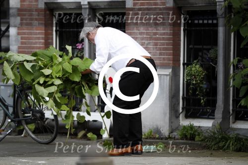 Amsterdam 11 mei 2017 
Jeroen Krabbe als tuinman voor zijn huis