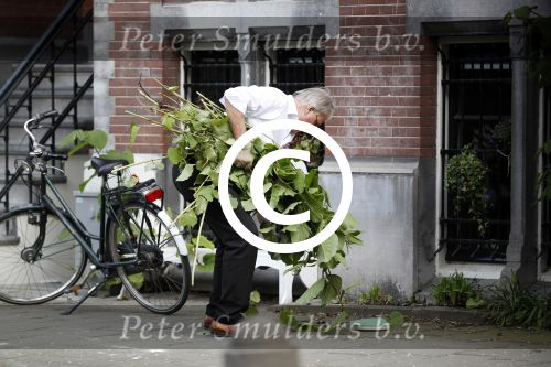 Amsterdam 11 mei 2017 
Jeroen Krabbe als tuinman voor zijn huis
