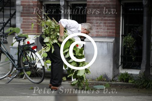 Amsterdam 11 mei 2017 
Jeroen Krabbe als tuinman voor zijn huis