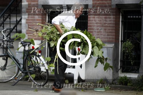 Amsterdam 11 mei 2017 
Jeroen Krabbe als tuinman voor zijn huis