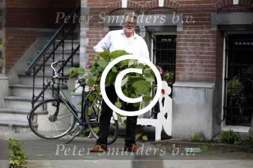 Amsterdam 11 mei 2017 
Jeroen Krabbe als tuinman voor zijn huis