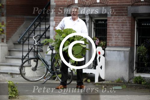 Amsterdam 11 mei 2017 
Jeroen Krabbe als tuinman voor zijn huis