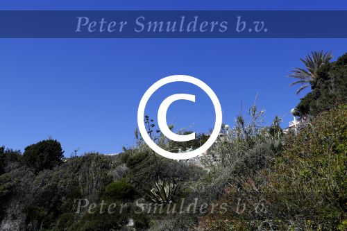 ibiza Cala tarida 1 mei 2017
Wesley Sneijder gaat een club / restaurant openen op het strand van Cala Tarida. Er wordt momenteel verbouwd. Het is hemelsbreed ongeveer 500 meter bij zijn huis / villa vandaan.