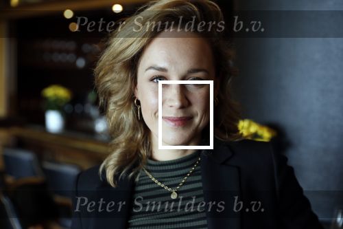 Noordwijk 9 april 2018
Uitreiking en lunch van de strong woman award in hotel Huis ter Duin. Anouk Maas