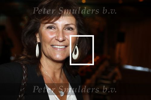 Noordwijk 9 april 2018
Uitreiking en lunch van de strong woman award in hotel Huis ter Duin. Astrid Joosten