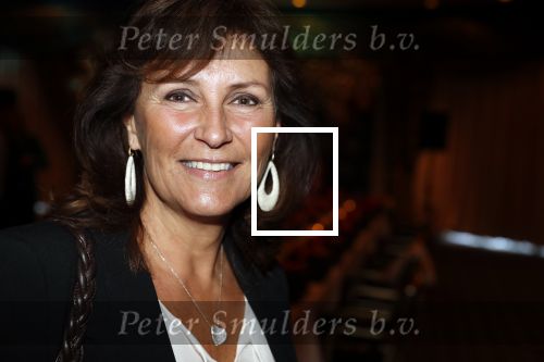 Noordwijk 9 april 2018
Uitreiking en lunch van de strong woman award in hotel Huis ter Duin. Astrid Joosten