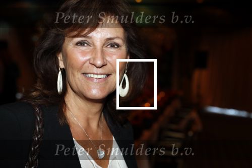 Noordwijk 9 april 2018
Uitreiking en lunch van de strong woman award in hotel Huis ter Duin. Astrid Joosten