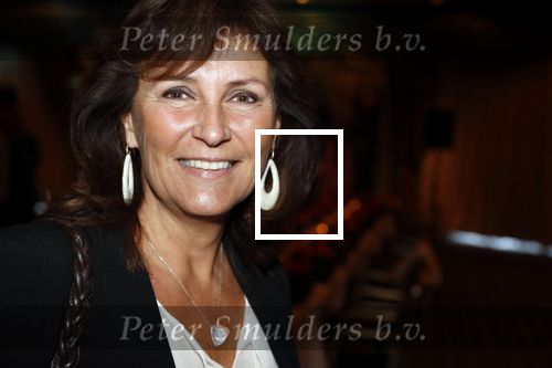 Noordwijk 9 april 2018
Uitreiking en lunch van de strong woman award in hotel Huis ter Duin. Astrid Joosten