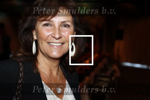 Noordwijk 9 april 2018
Uitreiking en lunch van de strong woman award in hotel Huis ter Duin. Astrid Joosten