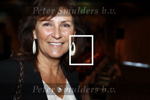 Noordwijk 9 april 2018
Uitreiking en lunch van de strong woman award in hotel Huis ter Duin. Astrid Joosten