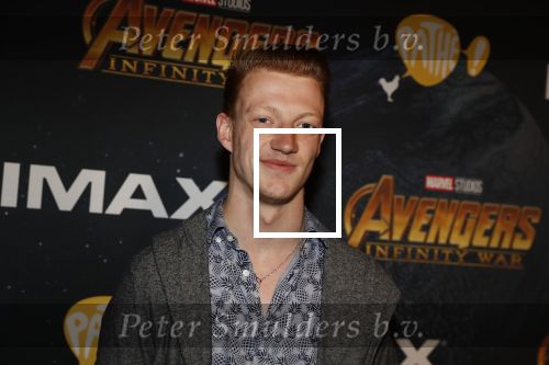Amsterdam 24 april 2018
Premiere Avengers in pathe Arena.
