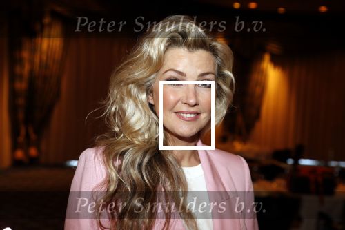Noordwijk 9 april 2018
Uitreiking en lunch van de strong woman award in hotel Huis ter Duin. Brigitte Nijman