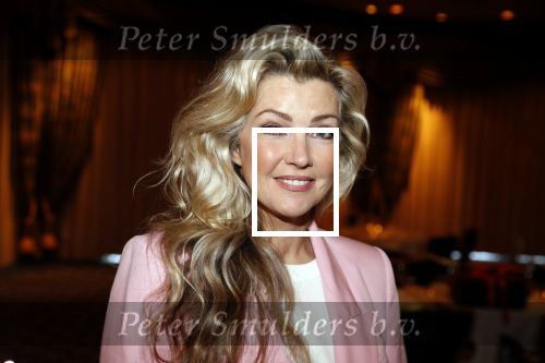 Noordwijk 9 april 2018
Uitreiking en lunch van de strong woman award in hotel Huis ter Duin. Brigitte Nijman