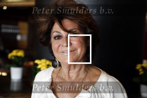 Noordwijk 9 april 2018
Uitreiking en lunch van de strong woman award in hotel Huis ter Duin. Christine Kronenberg