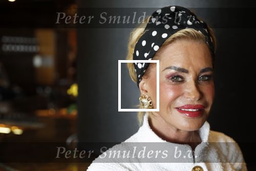 Noordwijk 9 april 2018
Uitreiking en lunch van de strong woman award in hotel Huis ter Duin. Connie Witteman