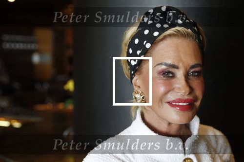 Noordwijk 9 april 2018
Uitreiking en lunch van de strong woman award in hotel Huis ter Duin. Connie Witteman