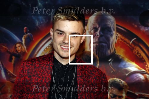 Amsterdam 24 april 2018
Premiere Avengers in pathe Arena. Dioni Jurado-Gomez