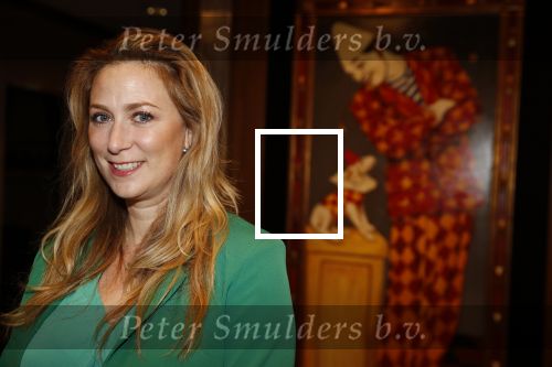 Noordwijk 9 april 2018
Uitreiking en lunch van de strong woman award in hotel Huis ter Duin. Fabienne de Vries