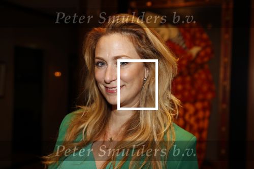 Noordwijk 9 april 2018
Uitreiking en lunch van de strong woman award in hotel Huis ter Duin. Fabienne de Vries
