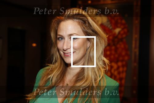 Noordwijk 9 april 2018
Uitreiking en lunch van de strong woman award in hotel Huis ter Duin. Fabienne de Vries