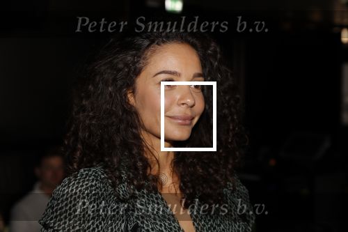 Amsterdam 16 april 2018
Boekpresentatie Fajah Lourens in het conservatorium Hotel.