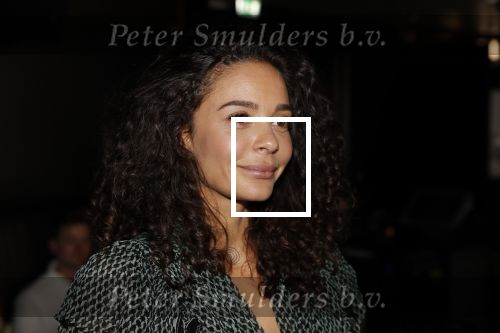 Amsterdam 16 april 2018
Boekpresentatie Fajah Lourens in het conservatorium Hotel.