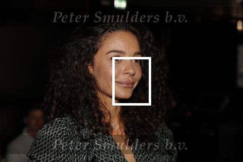 Amsterdam 16 april 2018
Boekpresentatie Fajah Lourens in het conservatorium Hotel.